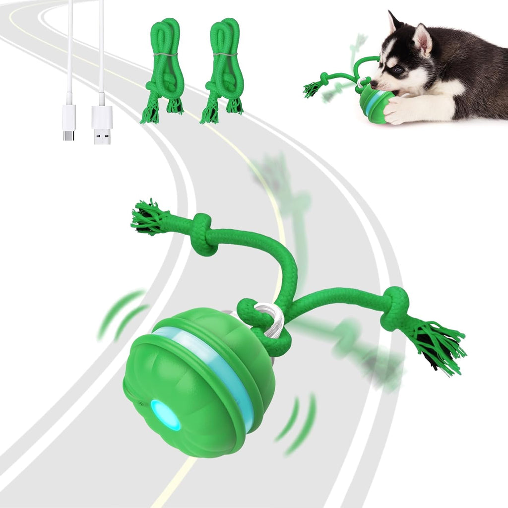 Interactive Dog Toy Ball with Rope