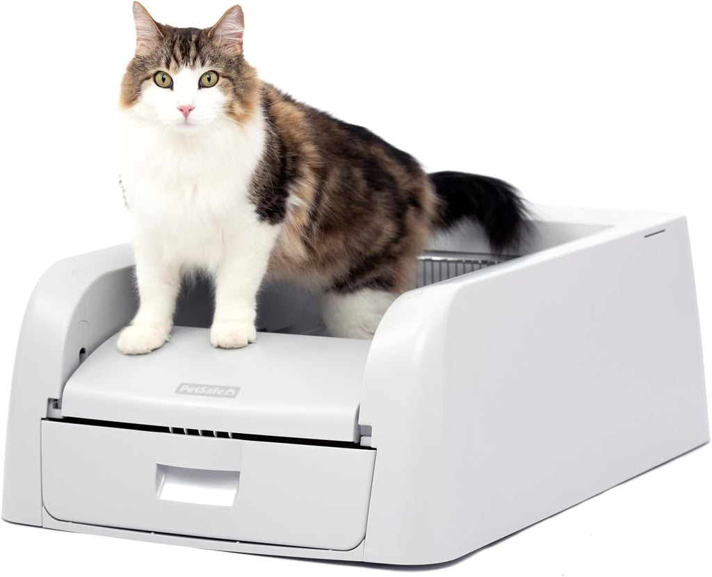 Automatic Litter Box