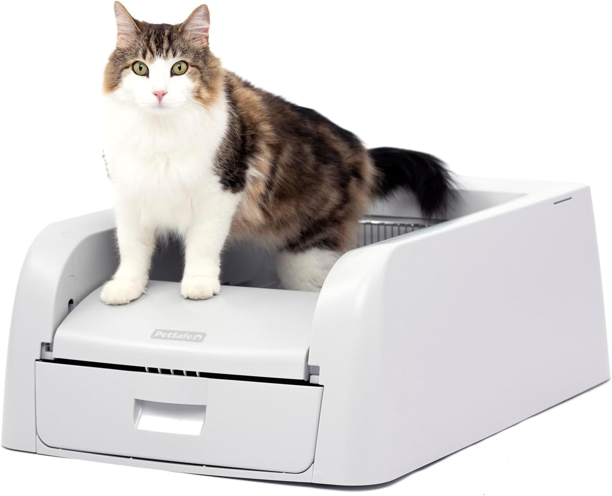 Automatic Litter Box