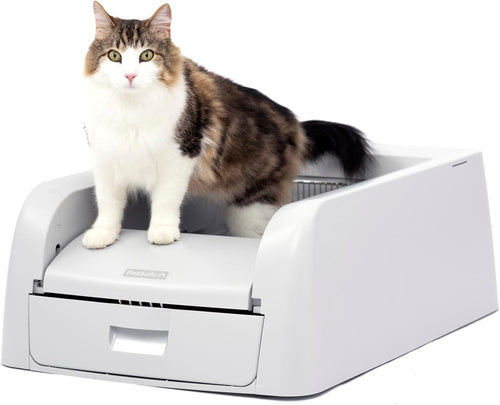 Automatic Litter Box