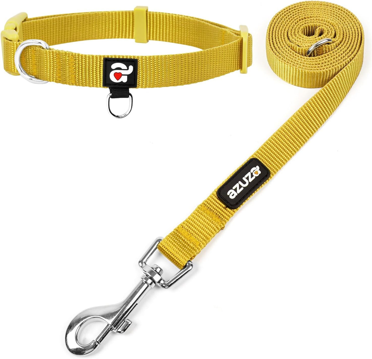 Dog Leash and Collar Set