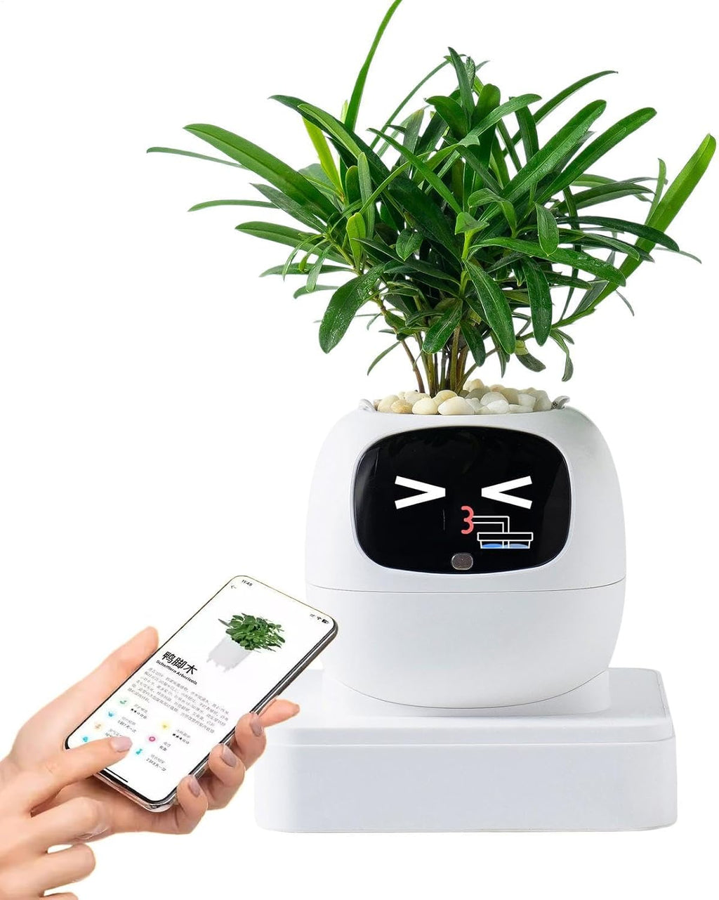 Smart Planter with Expressions