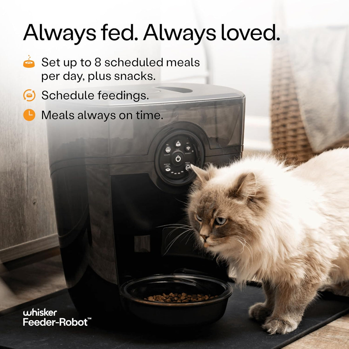 Automatic Pet Feeder