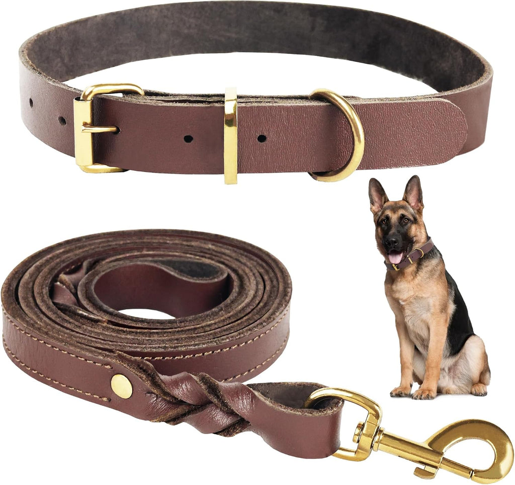 Dog Leash & Collar Set