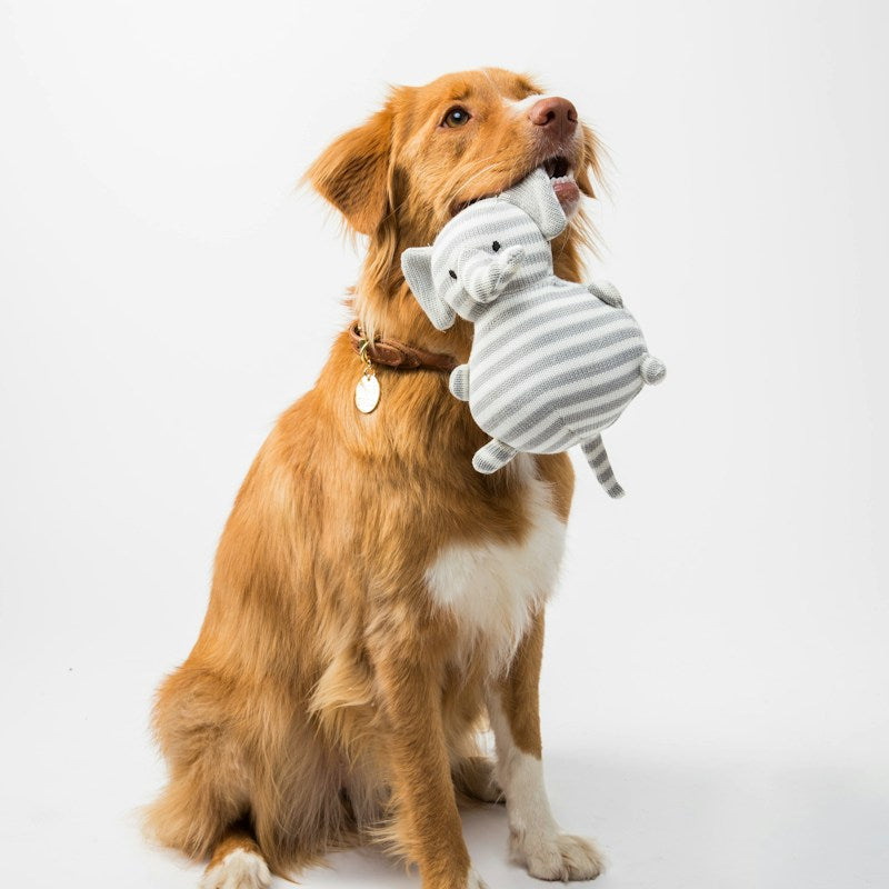Dog Grooming Brush